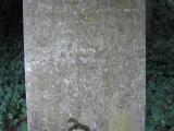 image of grave number 270652